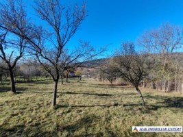 teren-intravilan-3500-mp-voinesti-leresti-arges-ideal-pentru-constructii-rezidentiale-4