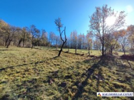 teren-intravilan-3500-mp-voinesti-leresti-arges-ideal-pentru-constructii-rezidentiale-5