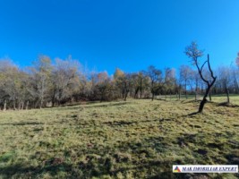 teren-intravilan-3500-mp-voinesti-leresti-arges-ideal-pentru-constructii-rezidentiale-6