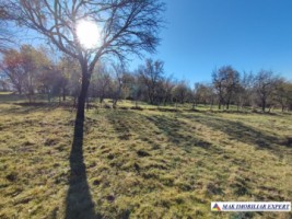 teren-intravilan-3500-mp-voinesti-leresti-arges-ideal-pentru-constructii-rezidentiale-7