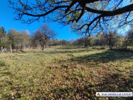 teren-intravilan-3500-mp-voinesti-leresti-arges-ideal-pentru-constructii-rezidentiale-12