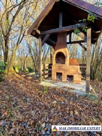 vila-7-camere-teren-13-ha-albestii-de-muscel-15