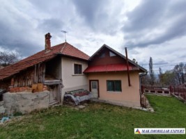 vila-2-corpuri-4-camere-teren-2545-mp-bonus-2-livezi-5380-mp-matau-5