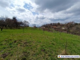 vila-2-corpuri-4-camere-teren-2545-mp-bonus-2-livezi-5380-mp-matau-13