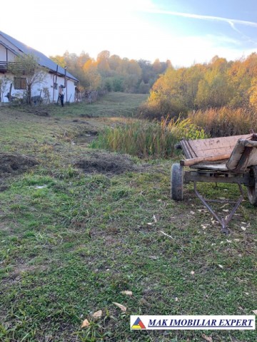 teren-intravilan-5000-mp-de-vanzare-in-nucsoara-arges-ideal-pentru-dezvoltare-rezidentiala-sau-agroturism-5