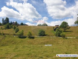 teren-intravilan-de-3160-mp-de-vanzare-in-dambovicioara-ciocanu-arges