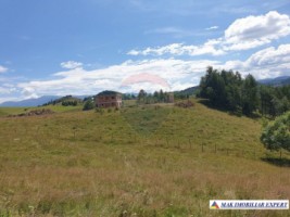 teren-intravilan-3160-mp-in-dambovicioara-ciocanu-arges-1