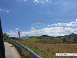 teren-intravilan-3160-mp-in-dambovicioara-ciocanu-arges-3