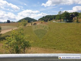 teren-intravilan-3160-mp-in-dambovicioara-ciocanu-arges-5