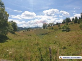 teren-intravilan-3160-mp-in-dambovicioara-ciocanu-arges-8