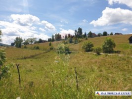 teren-intravilan-3160-mp-in-dambovicioara-ciocanu-arges-9