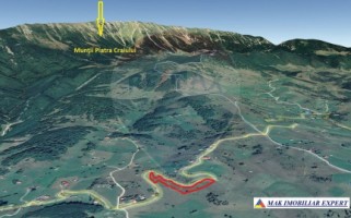 teren-intravilan-3160-mp-in-dambovicioara-ciocanu-arges-11