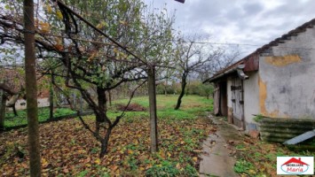 casa-parter-cu-teren-852-mp-id-22800-2