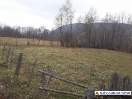 teren-intravilan-700-mp-tarina-leresti-arges-ideal-pentru-constructii-2