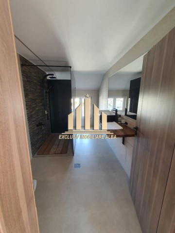 casa-individuala-de-inchiriat-cetate-3