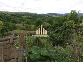 vand-casa-in-paclisa-3