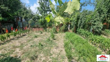 casa-cu-teren-33-ari-zona-lucian-blaga-id-22741-1