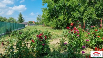 casa-cu-teren-33-ari-zona-lucian-blaga-id-22741-3