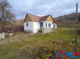 casa-traditionala-3-camere-in-sibiu-loc-chesler-2