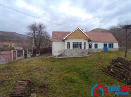 casa-traditionala-3-camere-in-sibiu-loc-chesler-11