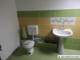 casa-4-camere-2-spatii-comerciale-de-vanzare-in-schitu-golesti-arges-ideala-pentru-locuinta-si-afaceri-34