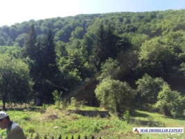 teren-extravilan-5000-mp-faneata-matau-mioarele-arges-ideal-pentru-agricultura