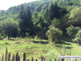 teren-extravilan-5000-mp-faneata-matau-mioarele-arges-ideal-pentru-agricultura-1