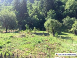 teren-extravilan-5000-mp-faneata-matau-mioarele-arges-ideal-pentru-agricultura-2