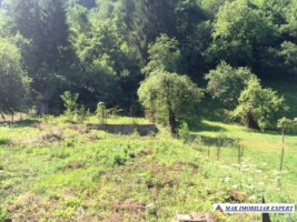 teren-extravilan-5000-mp-faneata-matau-mioarele-arges-ideal-pentru-agricultura-3