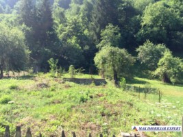 teren-extravilan-5000-mp-faneata-matau-mioarele-arges-ideal-pentru-agricultura-5