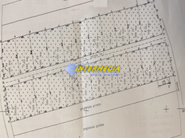 okazie-teren-intravilan-vanzare-562-mp-alba-micesti-zona-sesuri