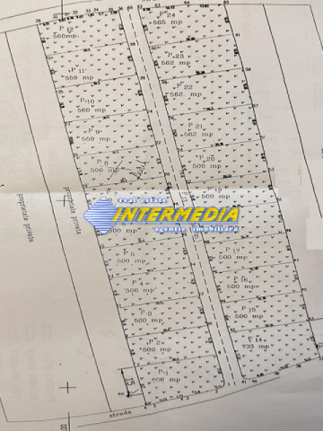 okazie-teren-intravilan-vanzare-562-mp-alba-micesti-zona-sesuri-5