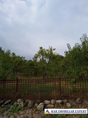 casa-cu-3-camere-si-teren-de-2500-mp-de-vanzare-in-berevoiesti-ideala-pentru-locuinta-de-familie-7