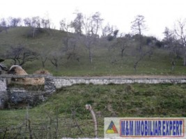 teren-intravilan-4614-mp-de-vanzare-in-valea-romanestilor-campulung-muscel-arges-ideal-pentru-constructii-rezidentiale-sau-comerciale