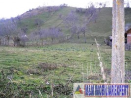 teren-intravilan-4614-mp-de-vanzare-in-valea-romanestilor-campulung-muscel-arges-ideal-pentru-constructii-rezidentiale-sau-comerciale-3