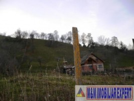 teren-intravilan-4614-mp-de-vanzare-in-valea-romanestilor-campulung-muscel-arges-ideal-pentru-constructii-rezidentiale-sau-comerciale-4