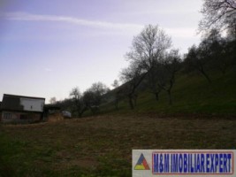 teren-intravilan-4614-mp-de-vanzare-in-valea-romanestilor-campulung-muscel-arges-ideal-pentru-constructii-rezidentiale-sau-comerciale-1