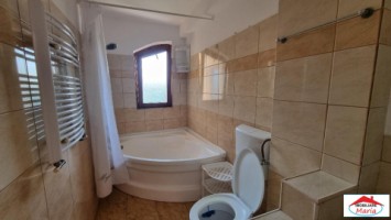 casa-de-inchiriat-in-zona-titulescu-id-22781-15
