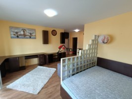 apartament-cu-1-camera-pacurari-3