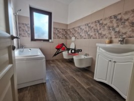 inchiriere-casa-cu-spatiu-pentru-birouri-in-zona-copou-1