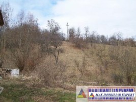 teren-intravilan-4200-mp-de-vanzare-in-bughea-de-jos-oportunitate-excelenta-pentru-dezvoltari-rezidentiale-1