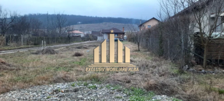 teren-intravilan-de-vanzare-alba-micesti