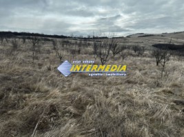 teren-extravilan-de-vanzare-in-suprafata-de-80000-mp-cu-livada-de-pomi-fructiferi-1