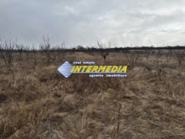 teren-extravilan-de-vanzare-in-suprafata-de-80000-mp-cu-livada-de-pomi-fructiferi-7