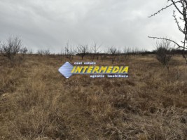 teren-extravilan-de-vanzare-in-suprafata-de-80000-mp-cu-livada-de-pomi-fructiferi-8