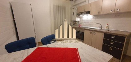 apartament-2-camere-decomandate-in-bloc-nou-cetate-4