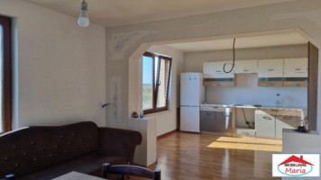 casa-in-cionchesti-cu-teren-22-ari-10