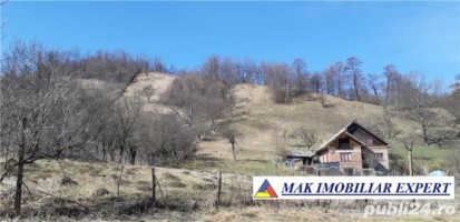teren-3979-mp-intraextravilan-de-vanzare-in-valea-romanestilor-campulung-muscel-arges-ideal-pentru-proiecte-rezidentiale-sau-agricole-1