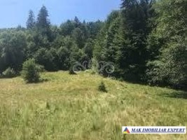 teren-intravilan-161-ha-de-vanzare-in-bughea-de-sus-ideal-pentru-dezvoltari-rezidentiale-sau-turistice-1