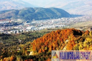 teren-intravilan-161-ha-de-vanzare-in-bughea-de-sus-ideal-pentru-dezvoltari-rezidentiale-sau-turistice-7